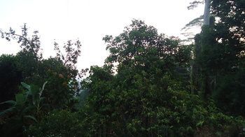 Beam Bed & Breakfast Kandy
