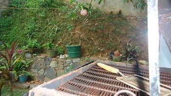 Bed & Breakfast Beam 3*