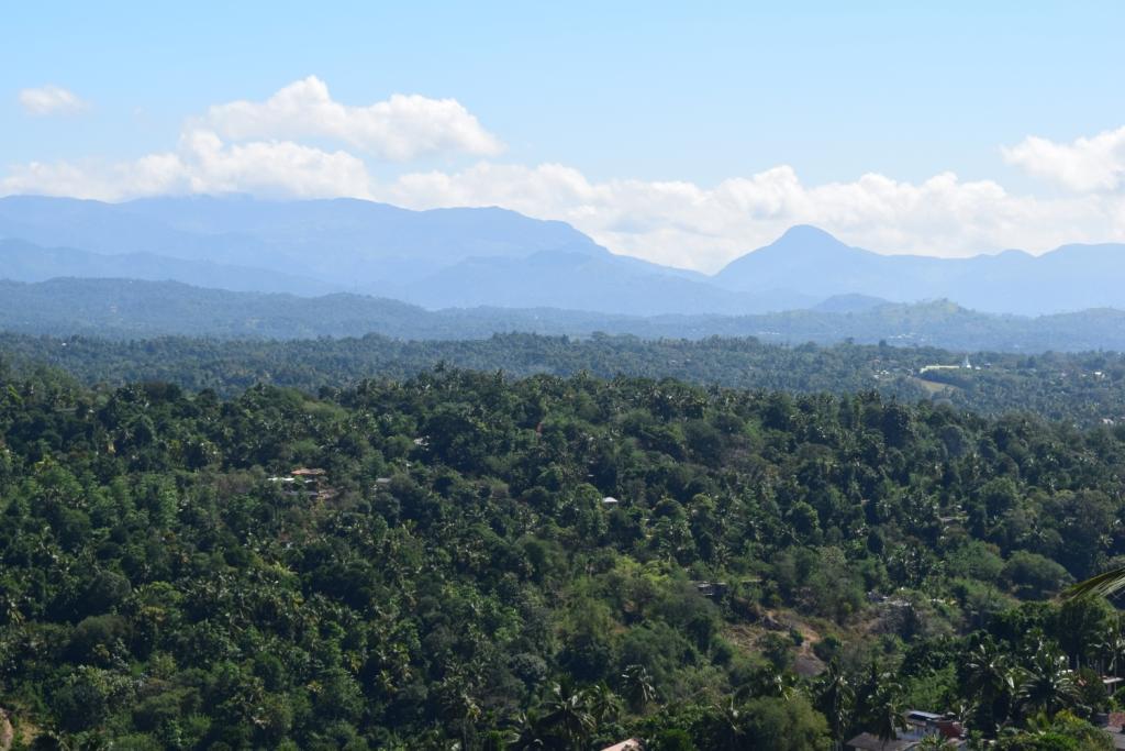 Serenity Hill Oasis Inn Kandy