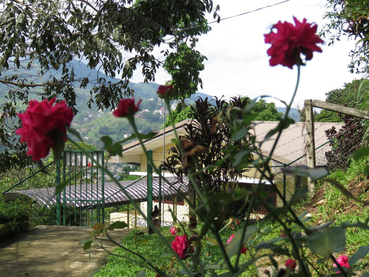 Bed & Breakfast Satyodaya Educational Training Centre