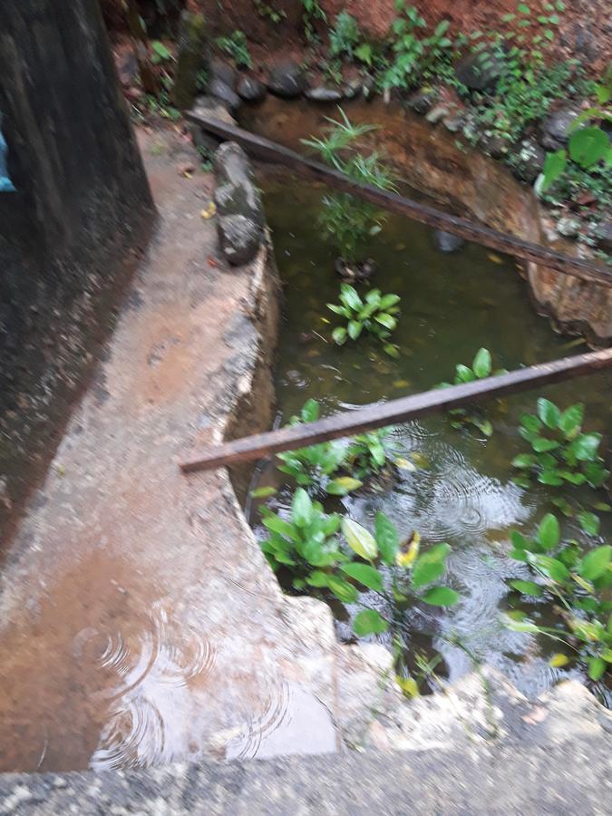 Ka Mario Inn Kandy