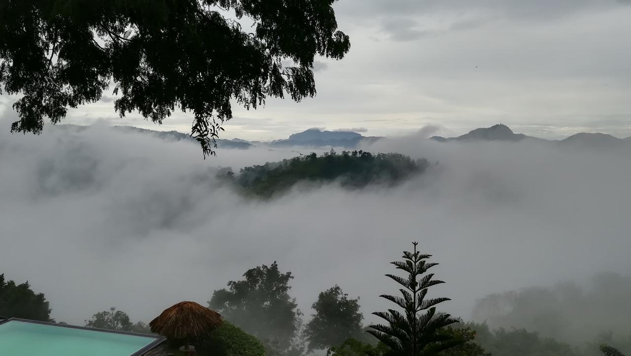 Sky Kandy