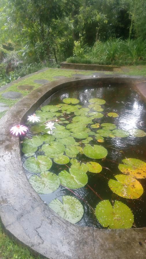 Tea Leaf Retreat Kandy
