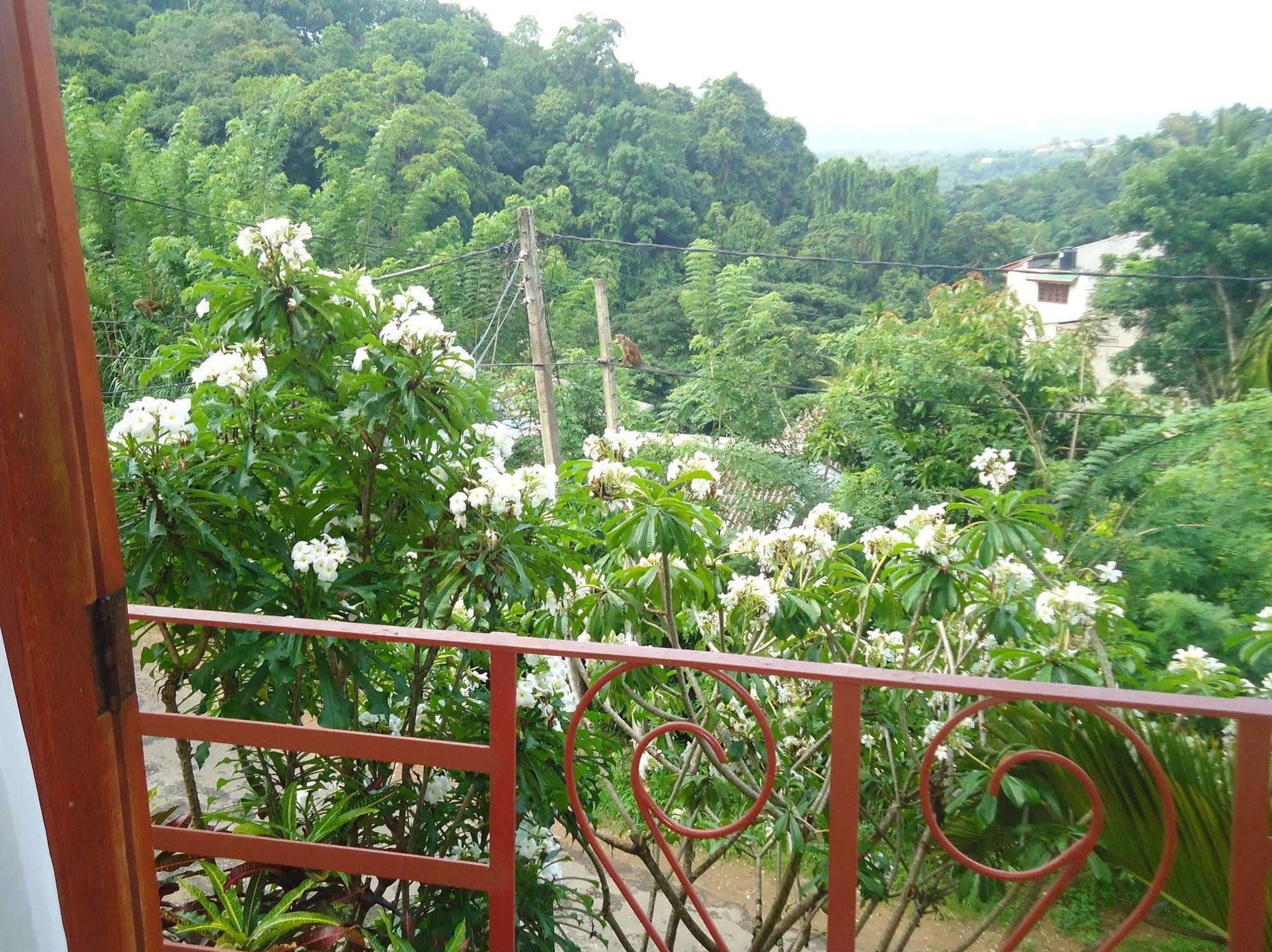 Resort Nature Walk 3*