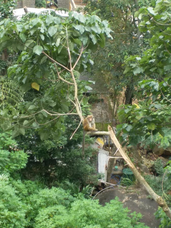 Dilruk Homestay Kandy