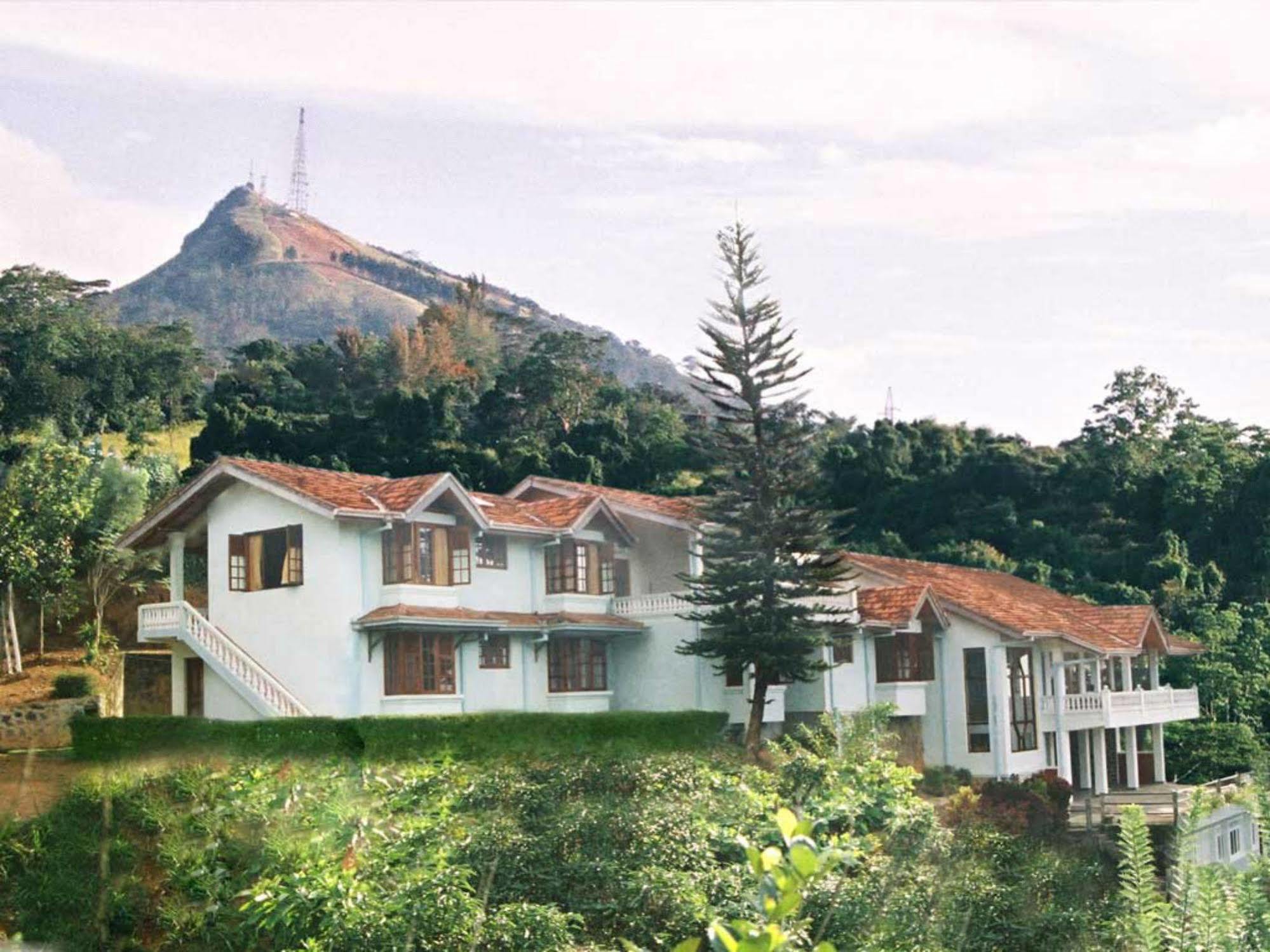 Alcam Guest house 3*
