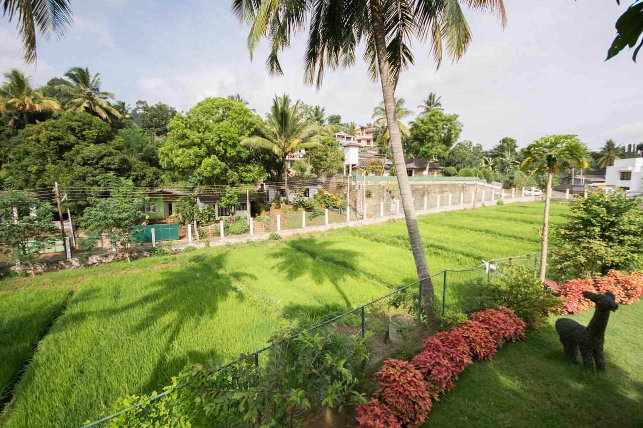Organic Villa *
