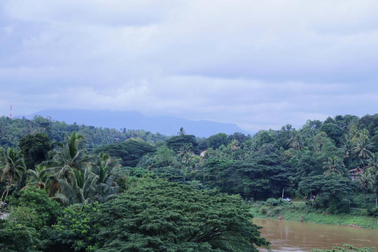 Mount River View