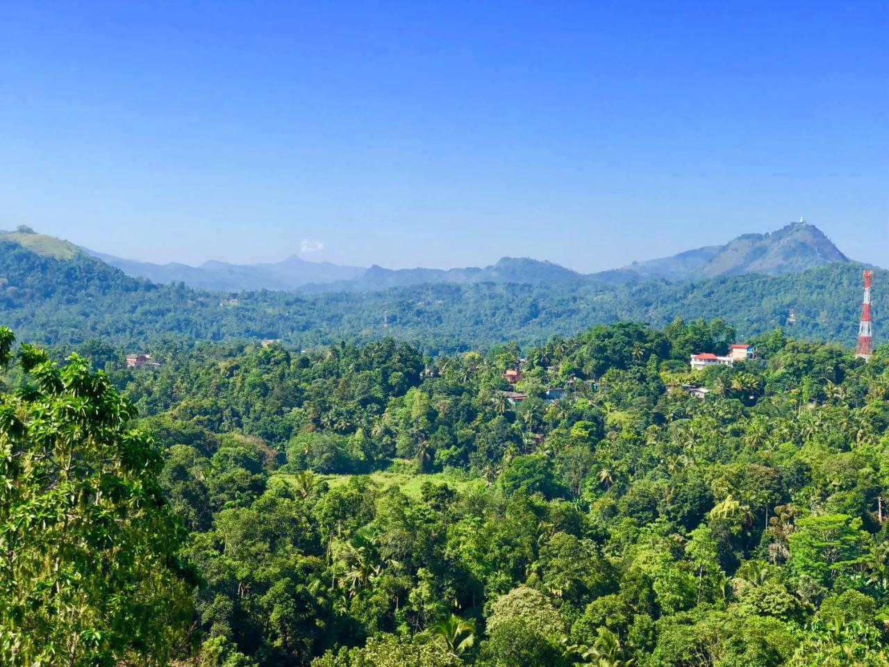 Hotel Elegant Kandy