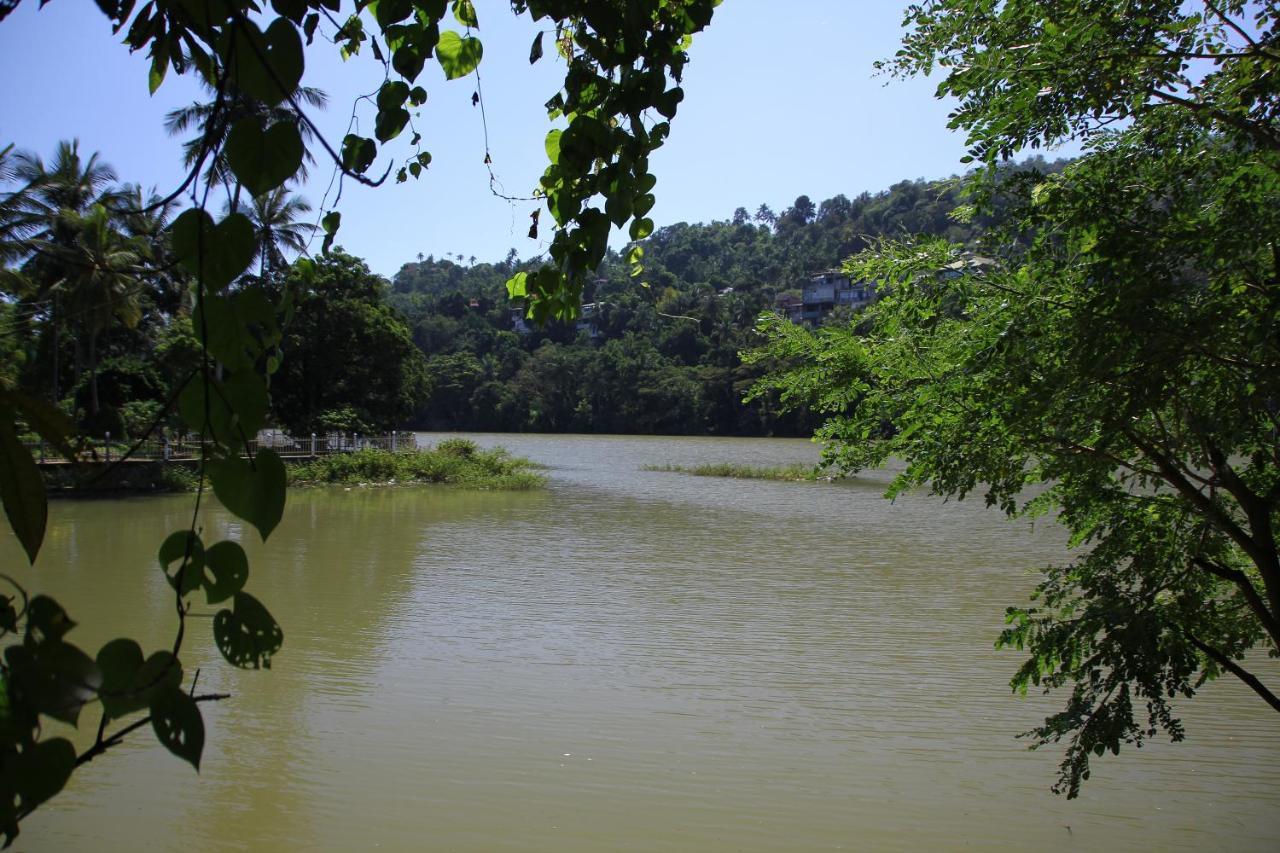 Guest house Mahaweli Shades