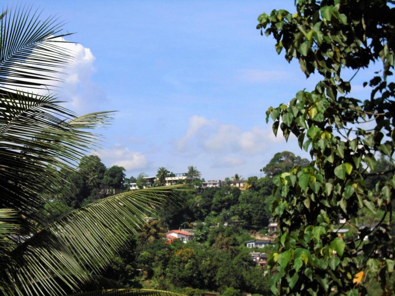 Resort Mountain *