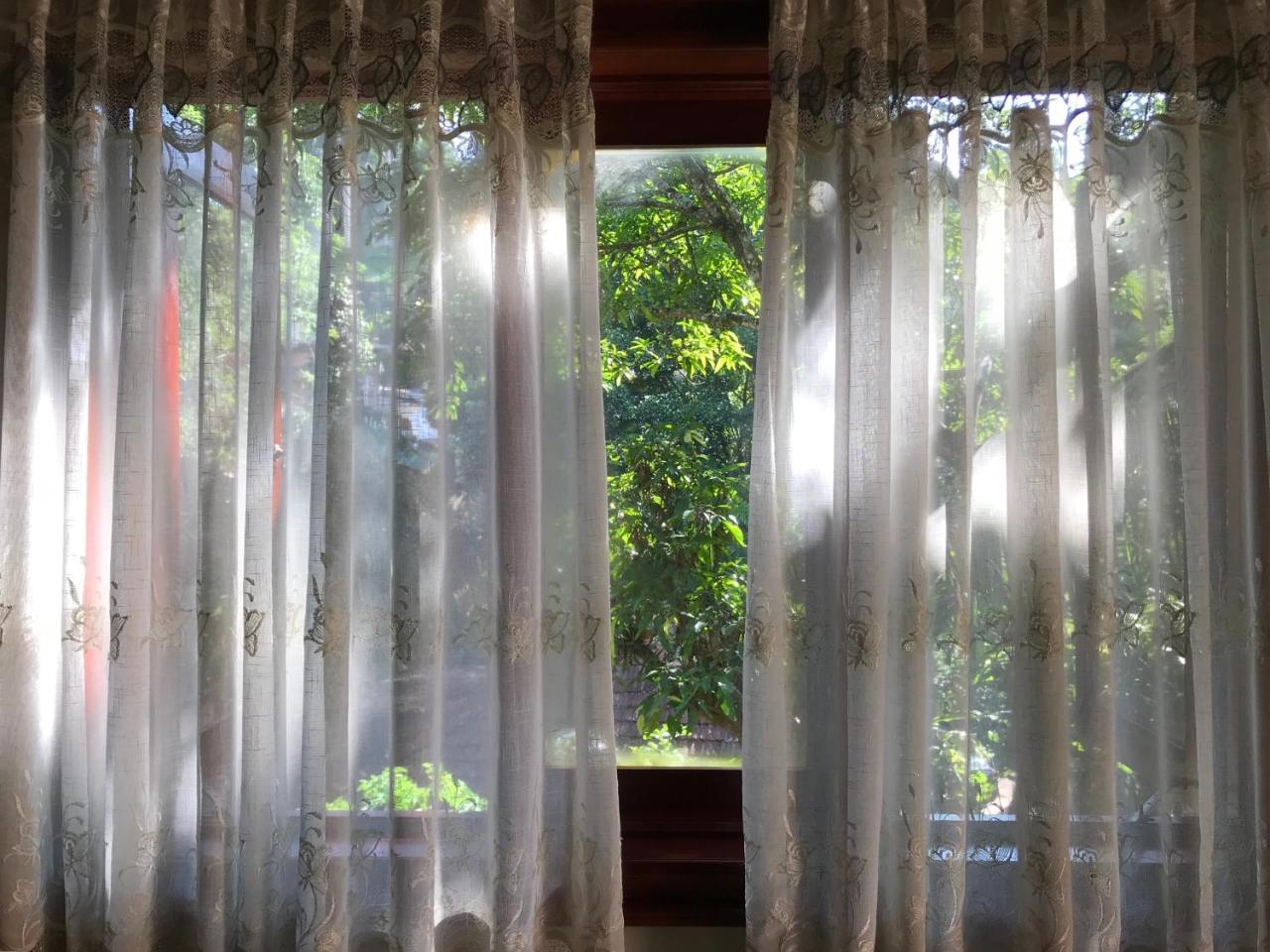 Hotel 中国蒲公英民宿dandelion With Mount View