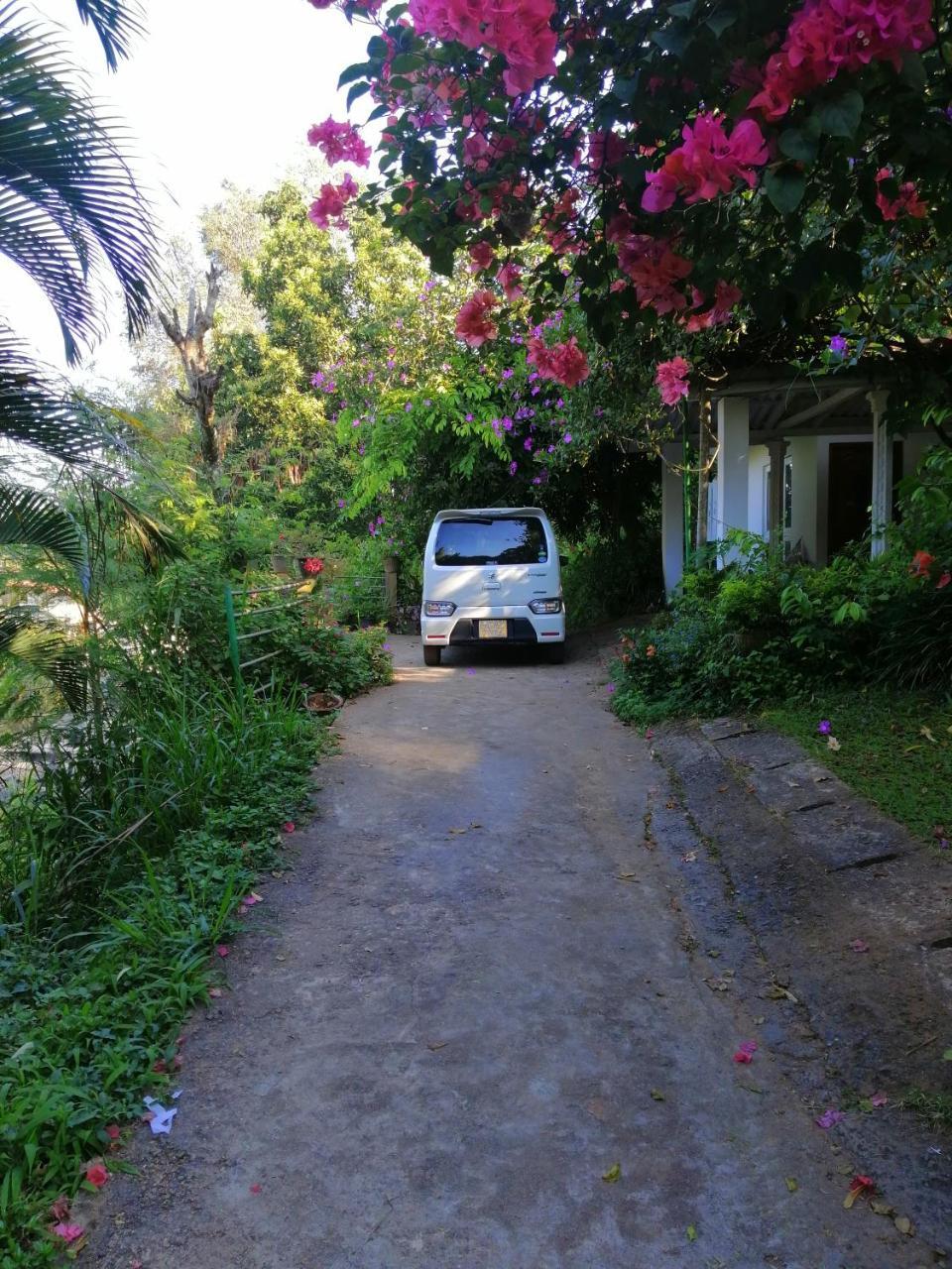 Guest house 99 *