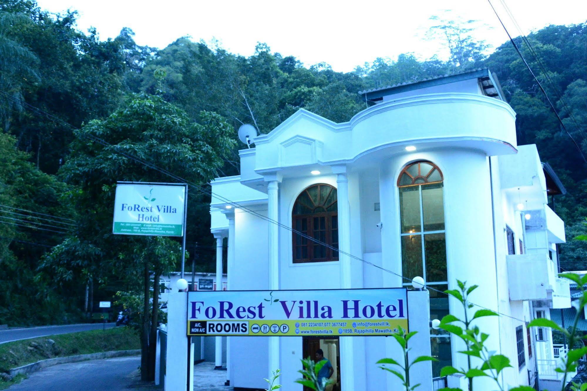 Forest * Kandy