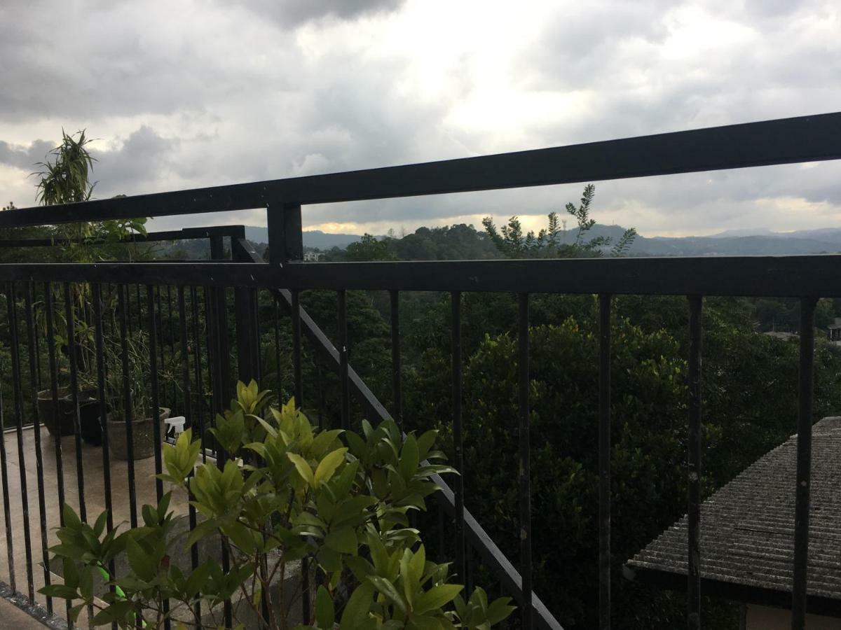 Forest View - No: 50/17 *