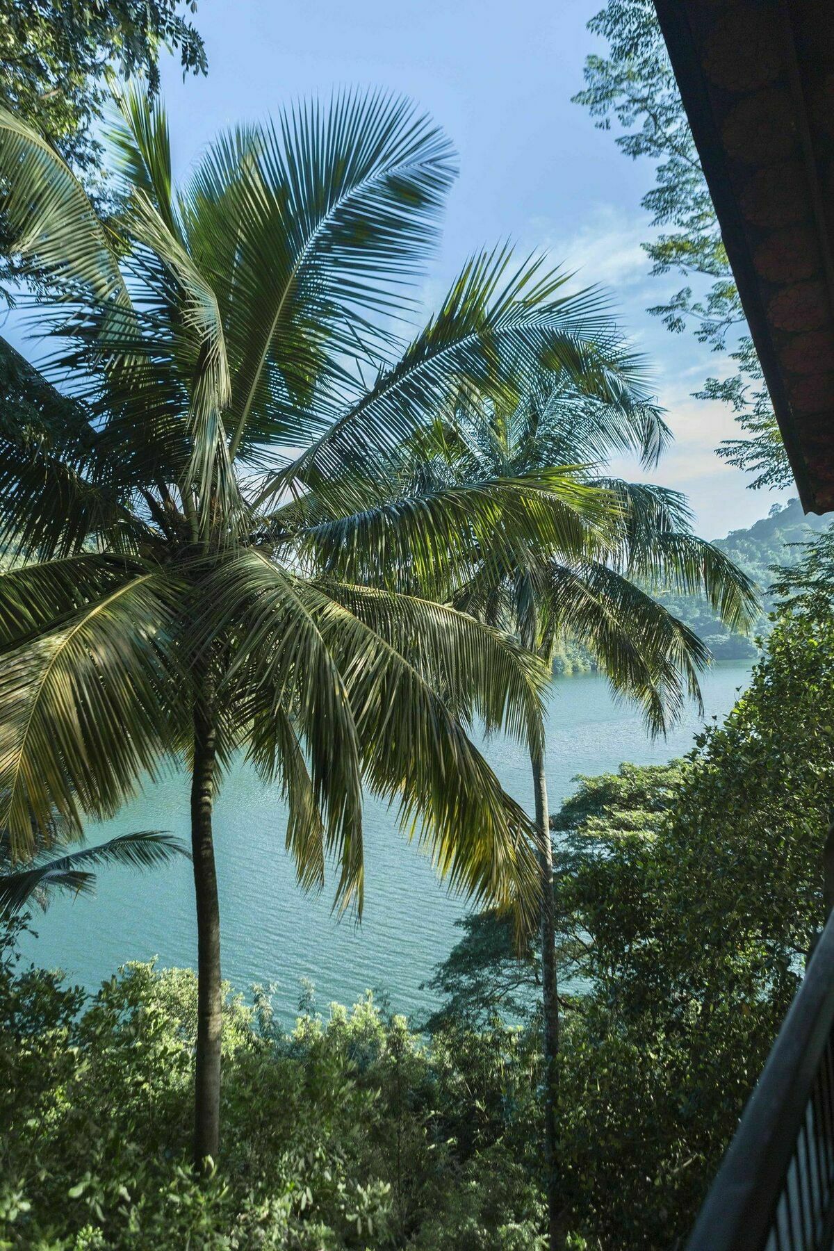 Apartment The Hermitage By Edwards Collection Kandy