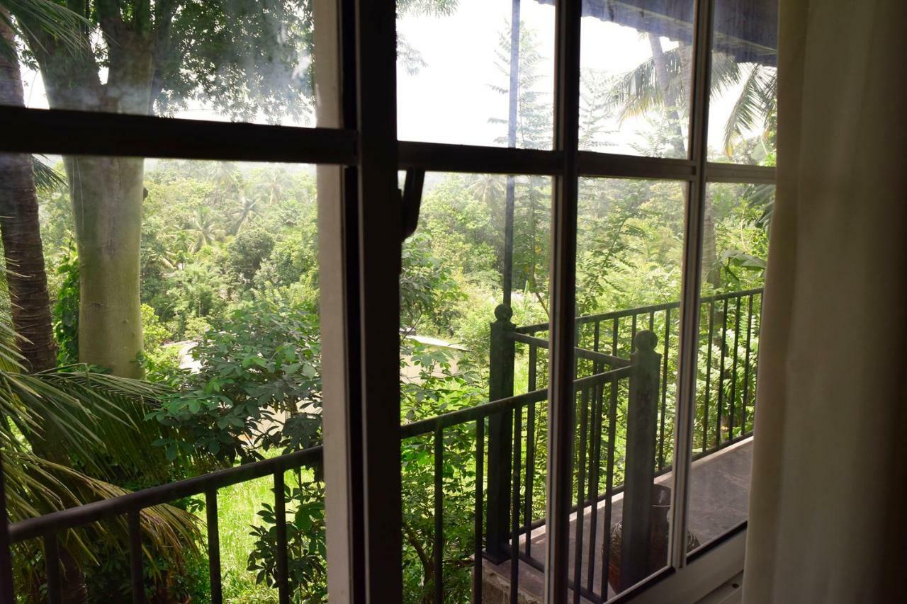 Breeze Villa
