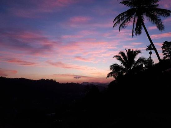 Homestay Mountain View