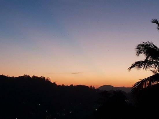 Homestay Mountain View