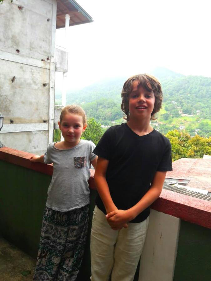 Homestay Mountain View