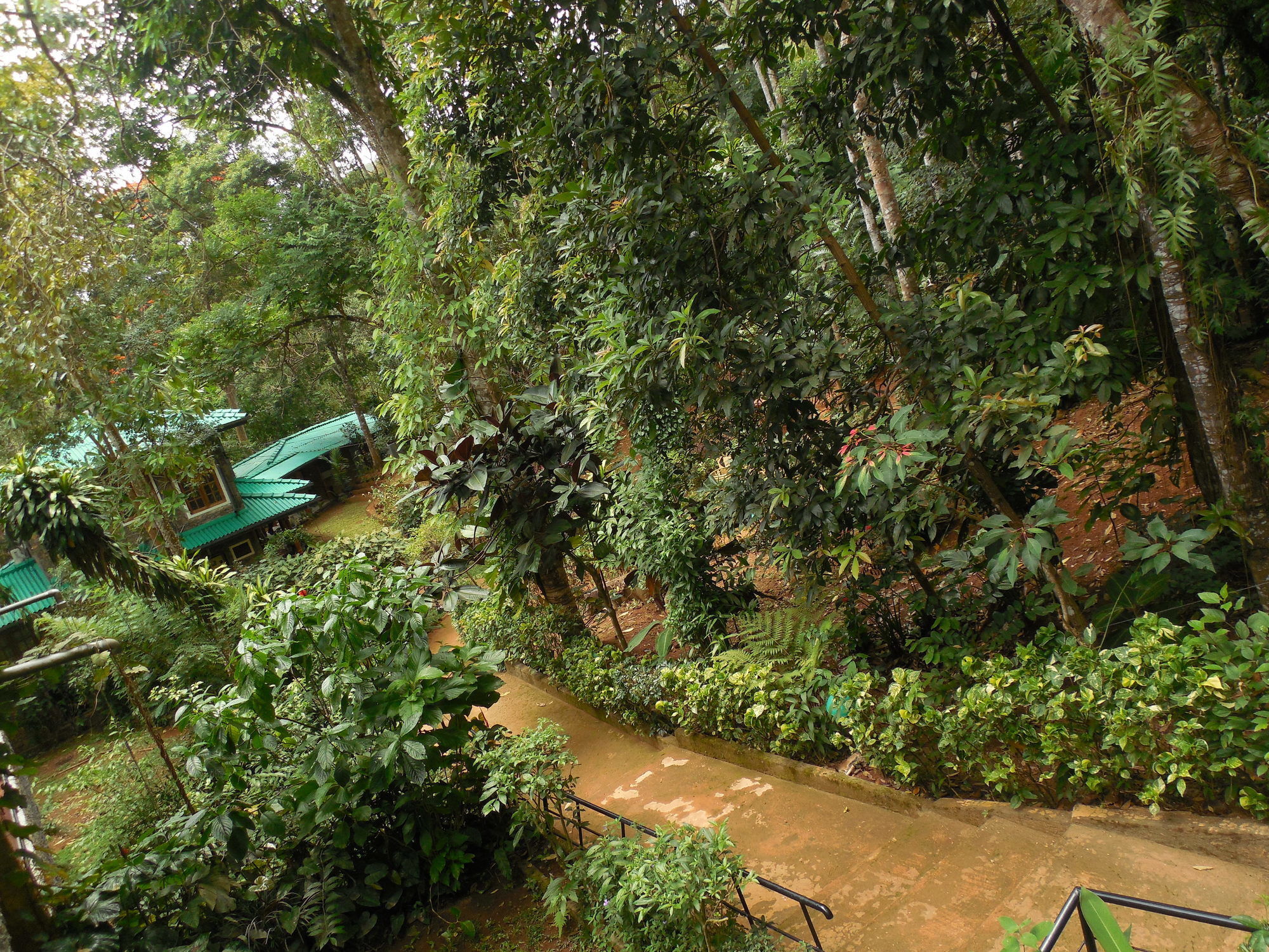 Hotel Le Leopard D 'argent Kandy