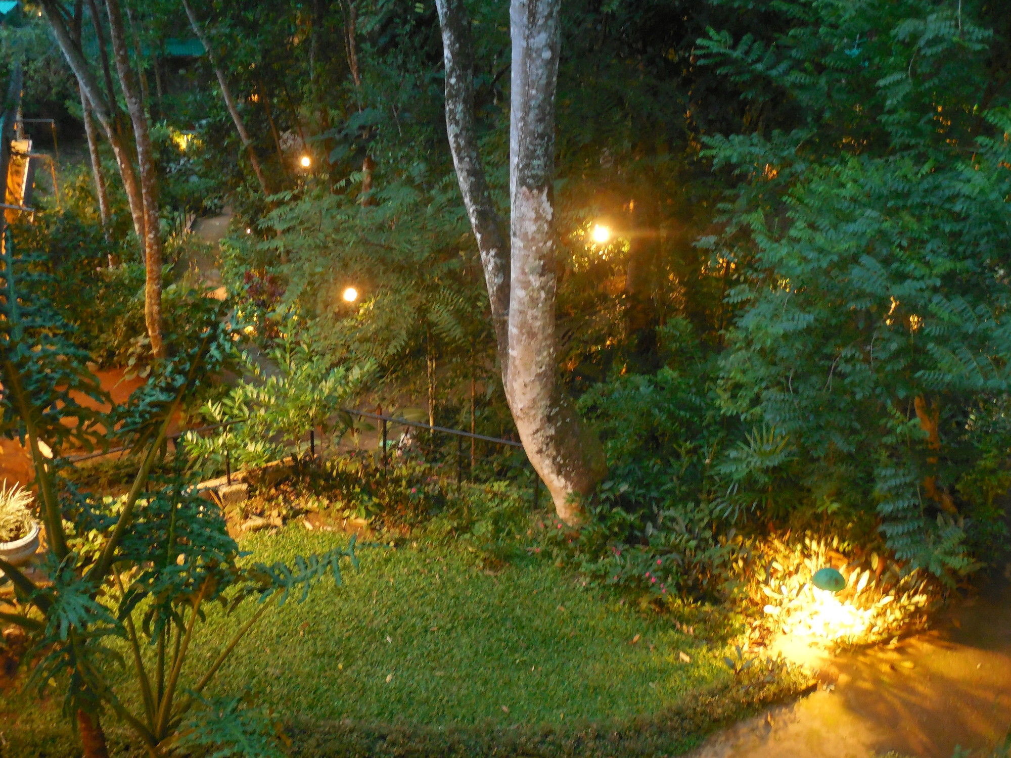 Le Leopard D 'argent Hotel