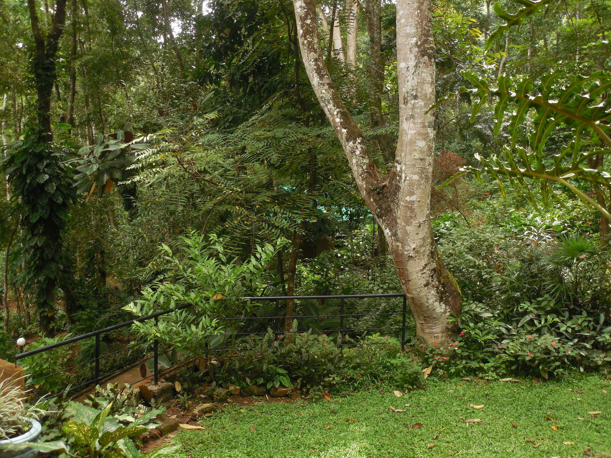 Le Leopard D 'argent 4* Kandy