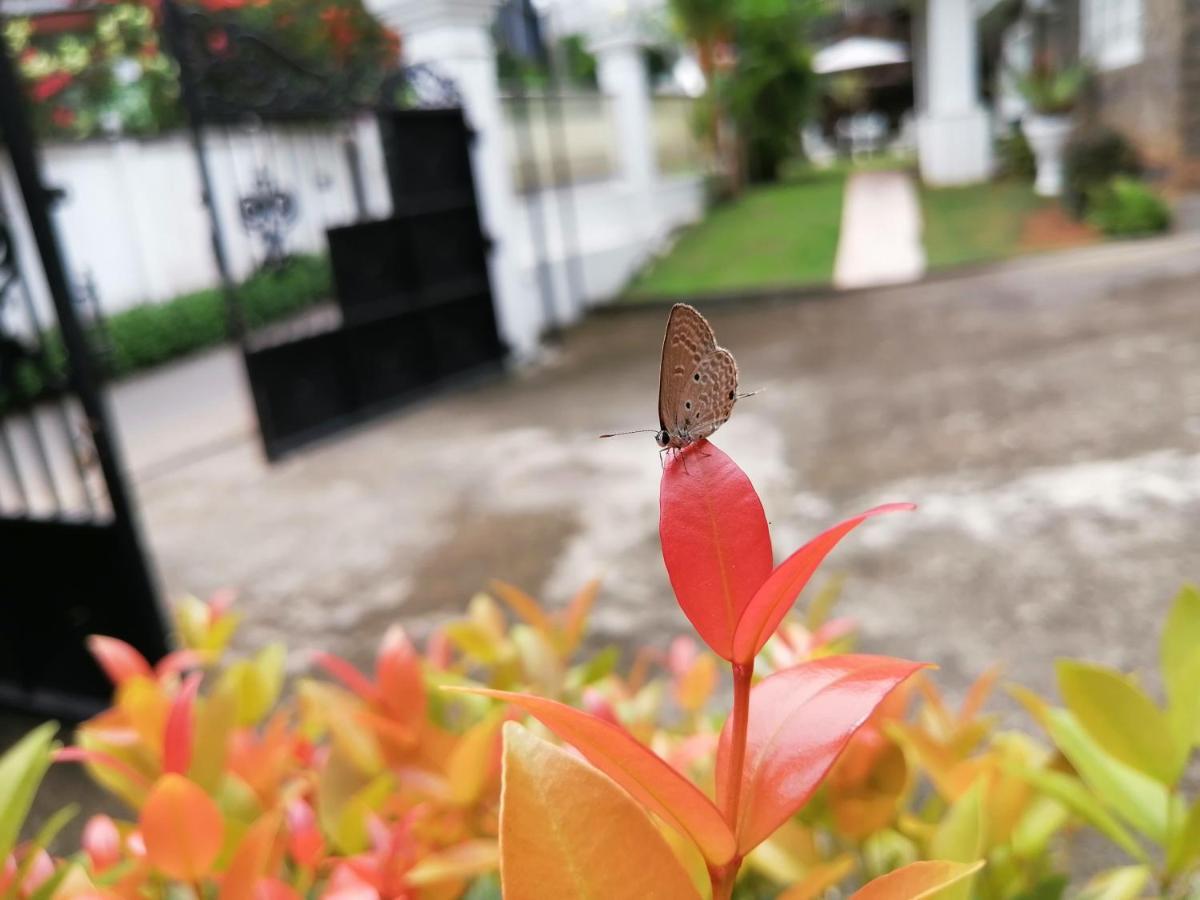 Guest house Anna Shanthi