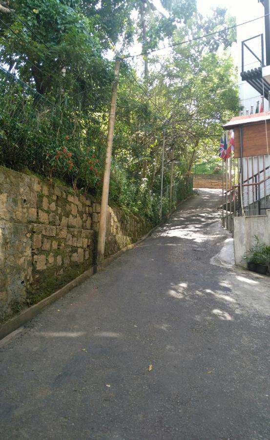 Walse Park Apartment