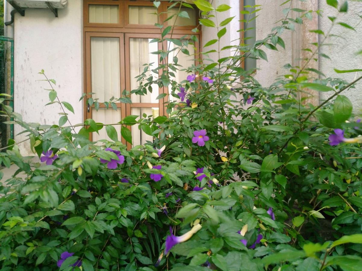 Walse Park Apartment Kandy