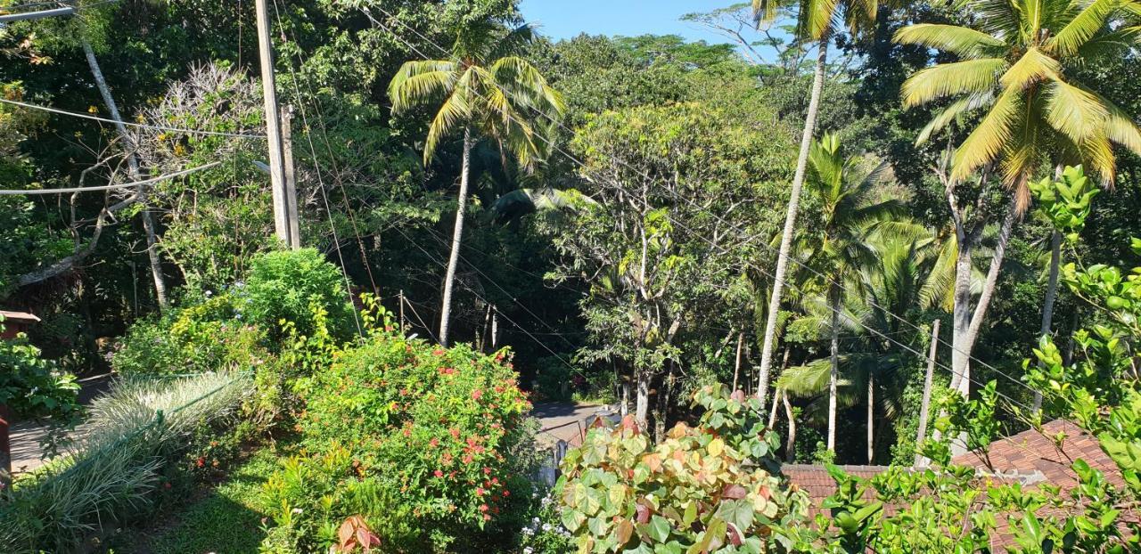 Windy Ridge Guest house 3*
