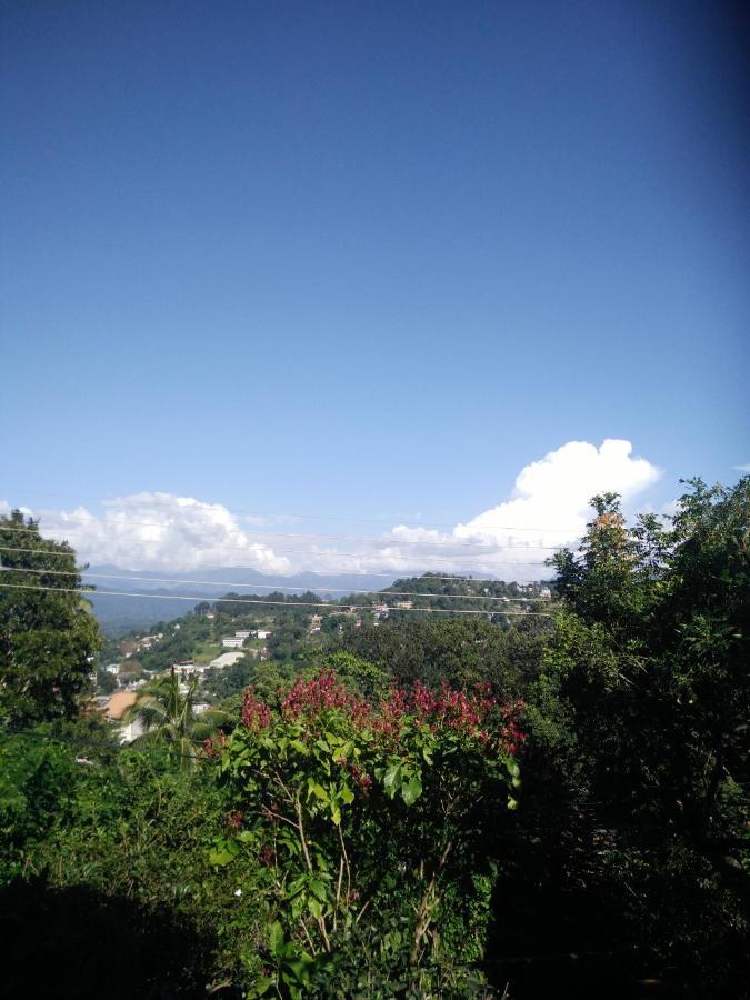 Homestay Hill *