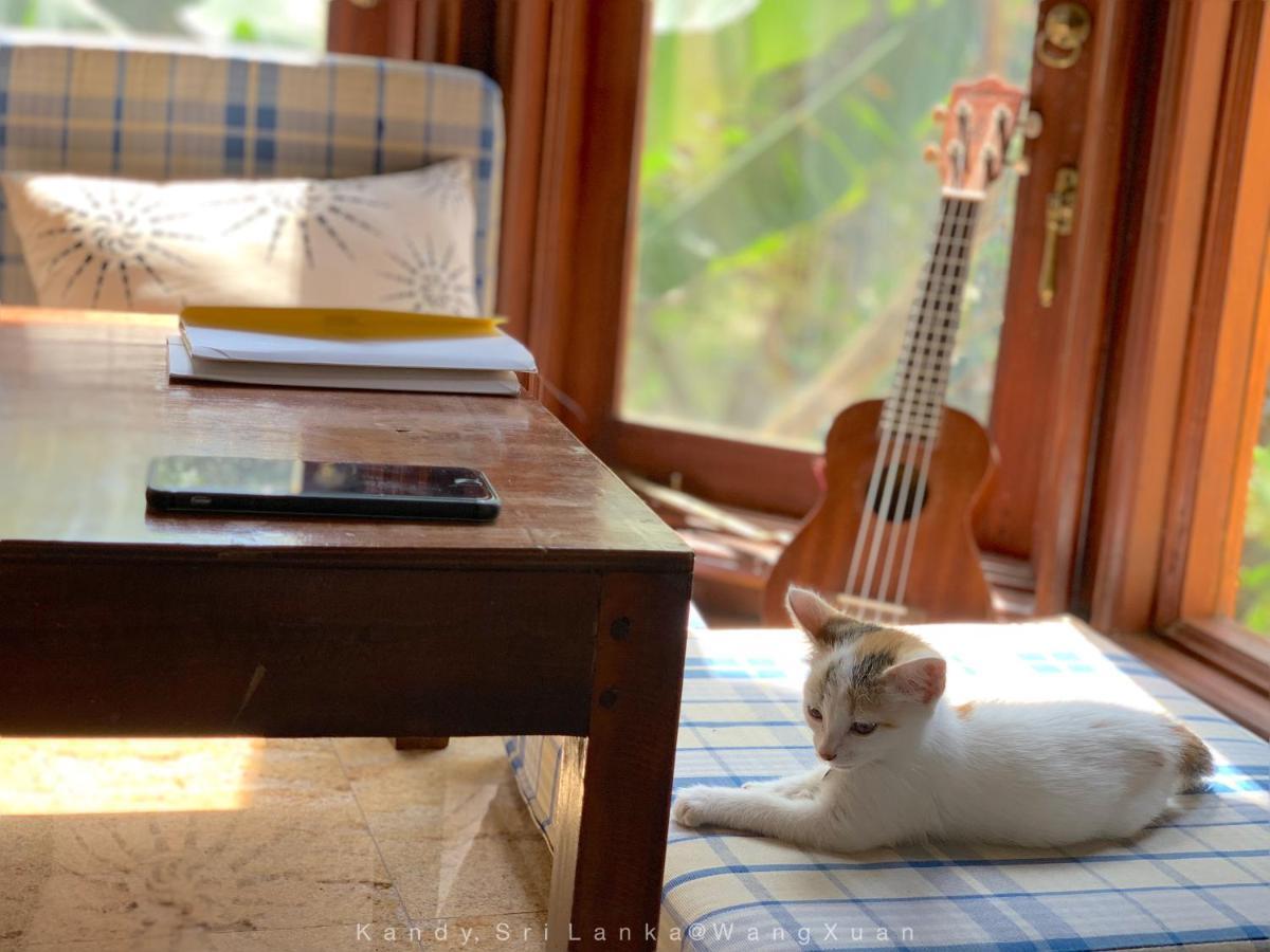 中国蒲公英民宿dandelion With Mount View Kandy