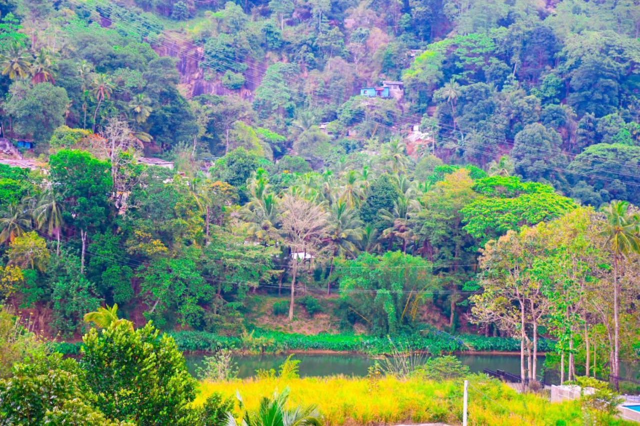 Riverview Guest Homestay