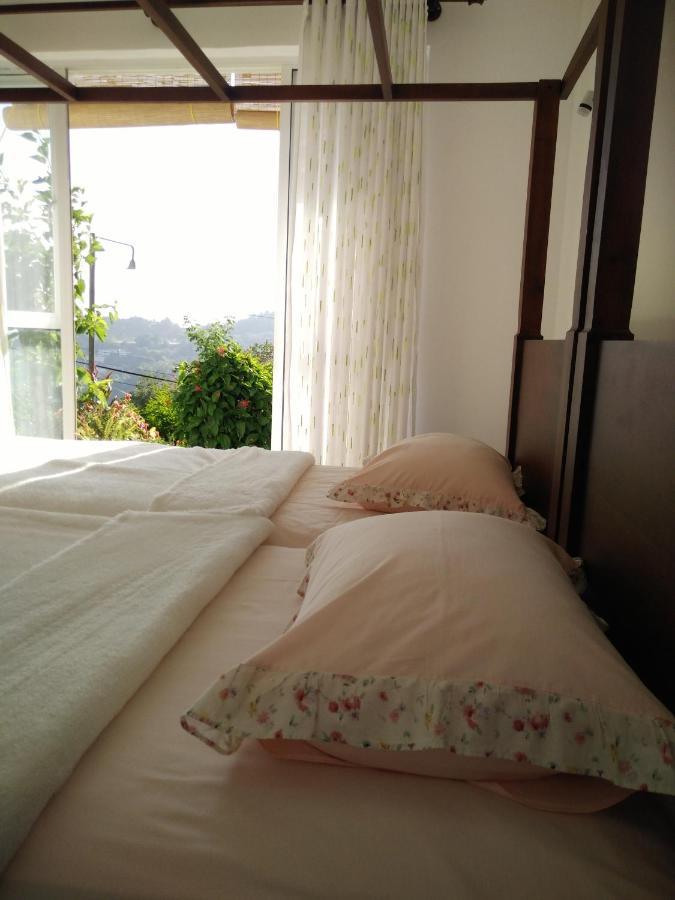Hill Homestay *