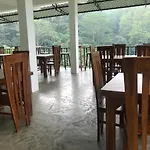 Tikiri Latha Hanthana