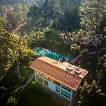Tea Heights