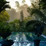 Tea Heights