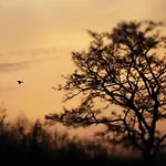 Sky Edge Homestay