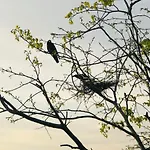 Lanka Villas Holiday Resort