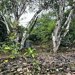Kandy Holiday Home