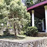 Kandy Wellington Home