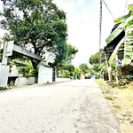 Place 236