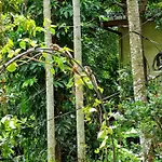 Squirrel\'S Nest