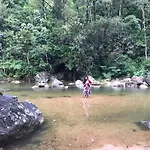 Jungle Tree House Rangala