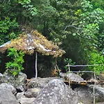 Jungle Tree House Rangala