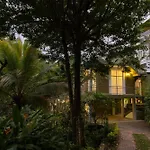 Greenwood Edge Kandy