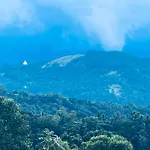 Misty Haven A-Frame
