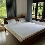 Jungle View