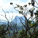 Springhill Homestay